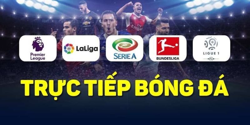 Nex8 Cung Cấp Trực Tiếp Bóng Đá Ở Những Giải Đấu Nào? Nex8 Cung Cấp Trực Tiếp Bóng Đá Ở Những Giải Đấu Nào?